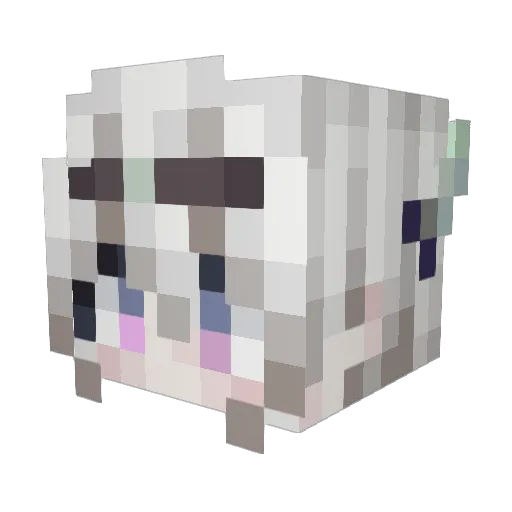 baicai_dc Minecraft avatar head, 3D render