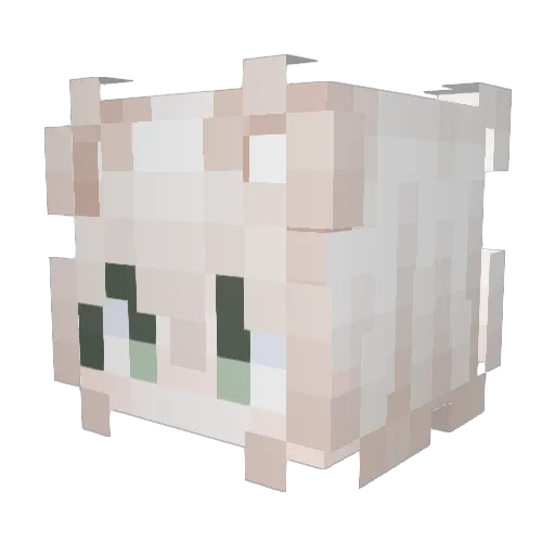baidada Minecraft avatar head, 3D render