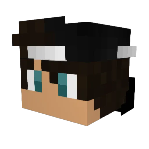 baidi37 Minecraft avatar head, 3D render
