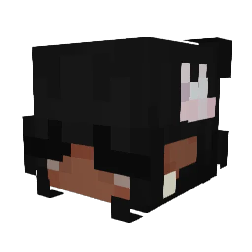 baidy Minecraft avatar head, 3D render