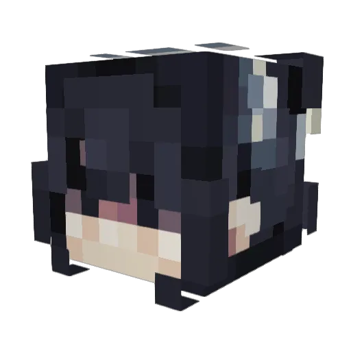 baigei6v6 Minecraft avatar head, 3D render