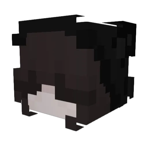 baiiiiiiy Minecraft avatar head, 3D render