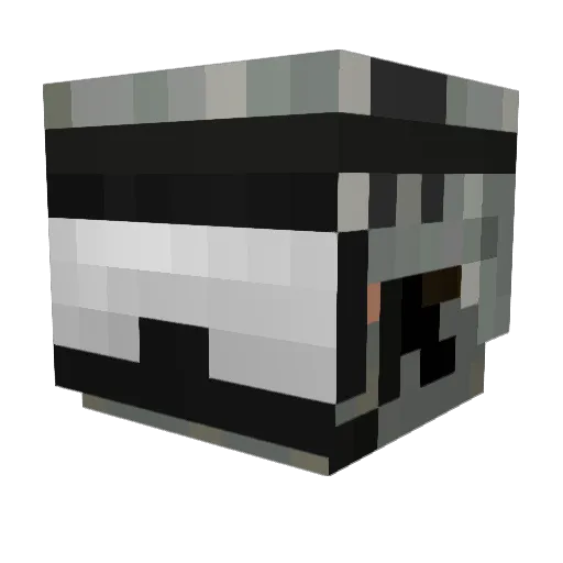 bailey2800 Minecraft avatar head, 3D render
