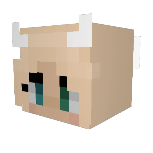 bailey_hally_03 Minecraft avatar head, 3D render