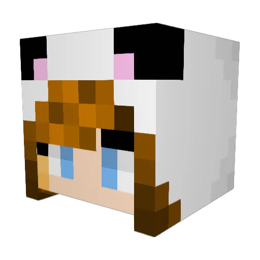 bailey_tomlinson Minecraft avatar head, 3D render