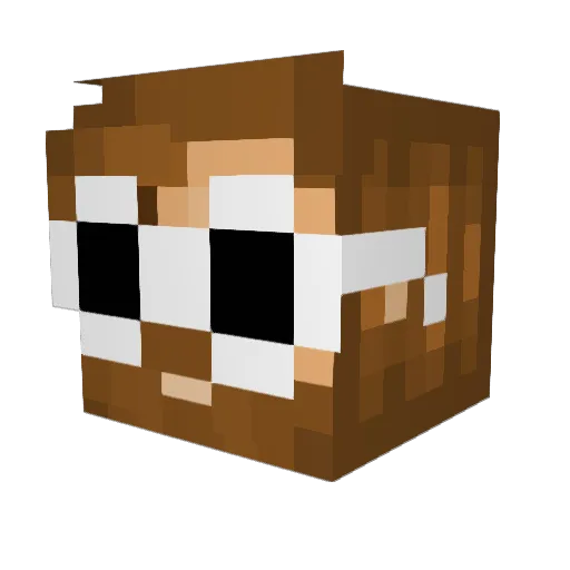 baileybug64 Minecraft avatar head, 3D render