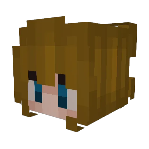 baileybulldawgs Minecraft avatar head, 3D render