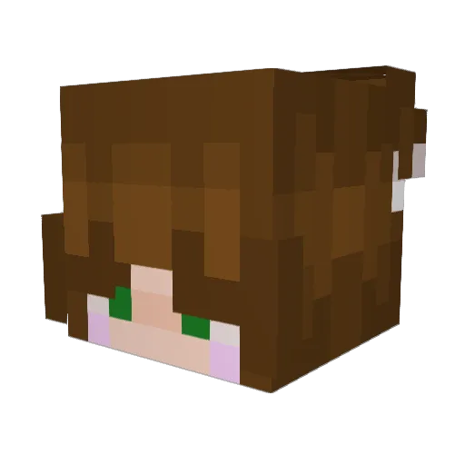 baileyelizabeth Minecraft avatar head, 3D render
