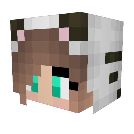 baileyf Minecraft avatar head, 3D render