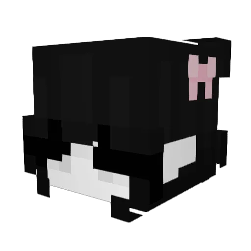 baileyisback Minecraft avatar head, 3D render