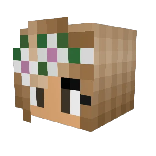 baileyisbae Minecraft avatar head, 3D render