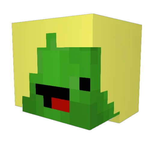 baileysveen Minecraft avatar head, 3D render