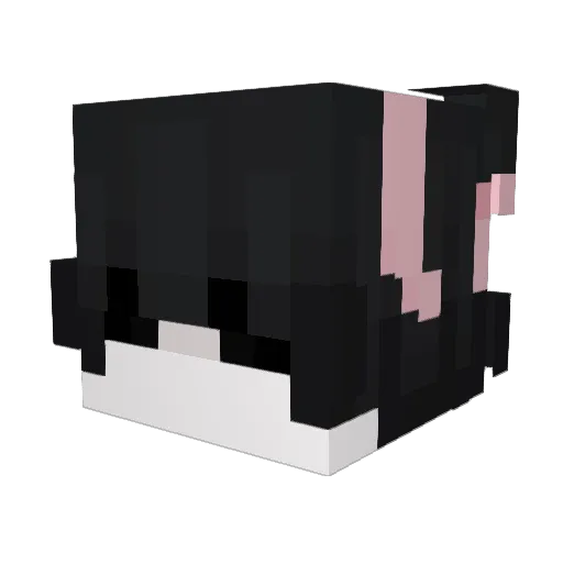 baileyuwu Minecraft avatar head, 3D render