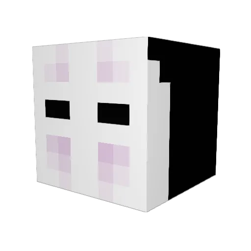baileywoody Minecraft avatar head, 3D render