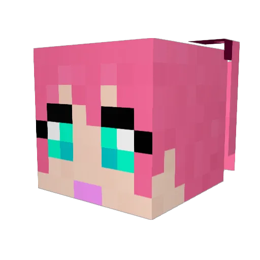 bailielo Minecraft avatar head, 3D render