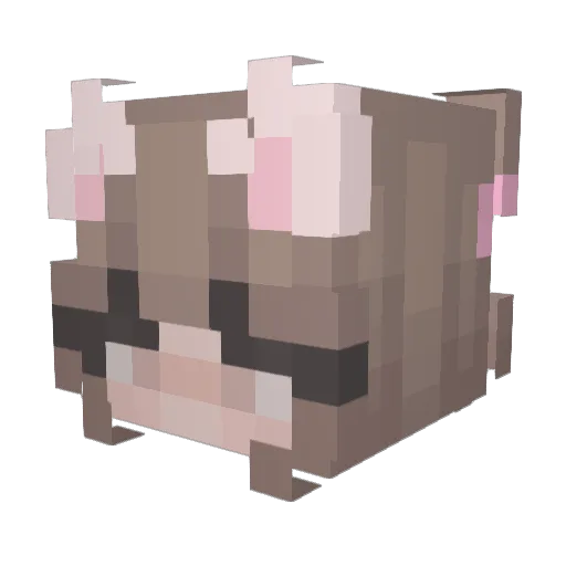 baillyb Minecraft avatar head, 3D render