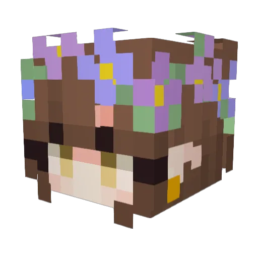 bailong05 Minecraft avatar head, 3D render