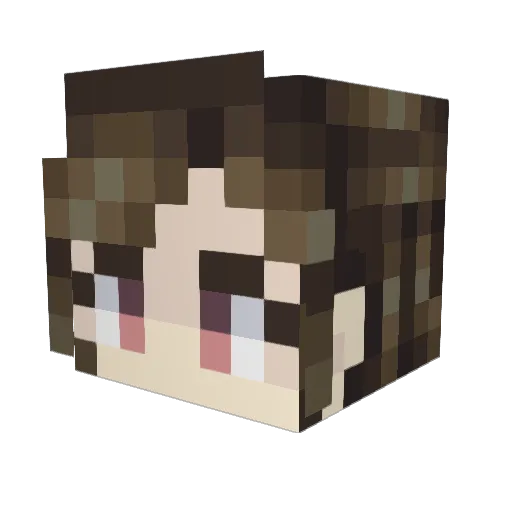 bailu1382 Minecraft avatar head, 3D render