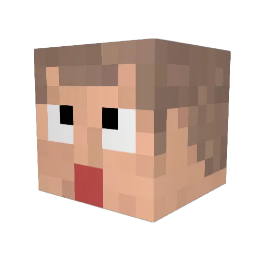 bainann Minecraft avatar head, 3D render