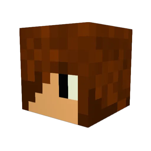 bainblocker Minecraft avatar head, 3D render
