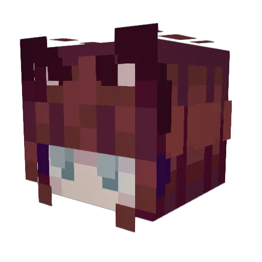 bajablastzro Minecraft avatar head, 3D render