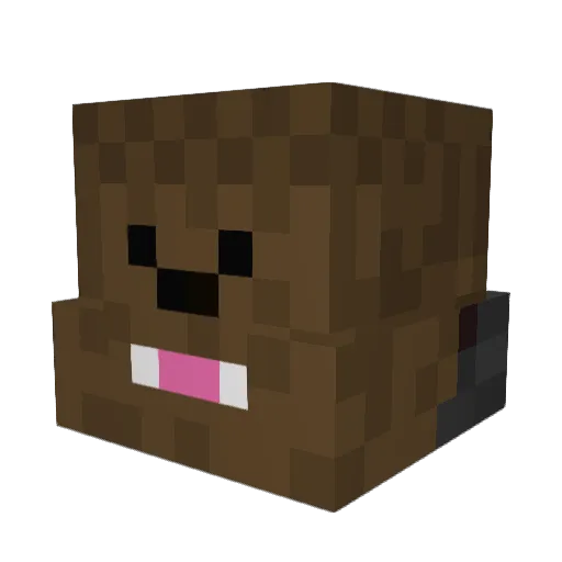 bajanman Minecraft avatar head, 3D render