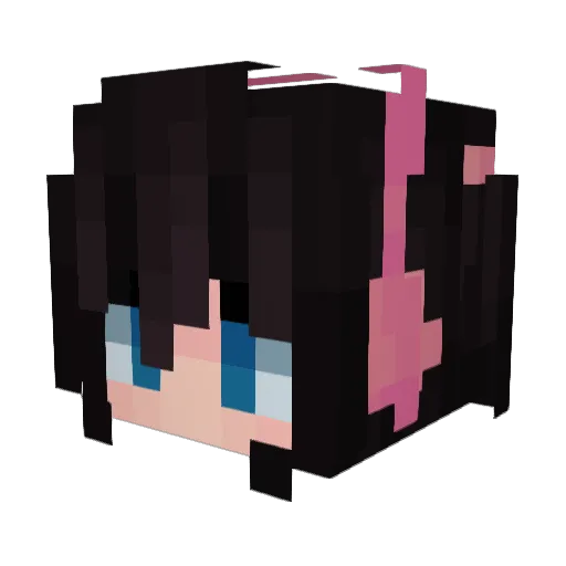 bajchi Minecraft avatar head, 3D render