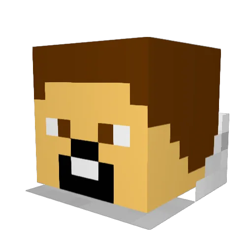 bajenm Minecraft avatar head, 3D render