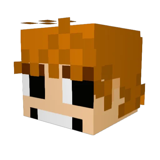 bajesti Minecraft avatar head, 3D render