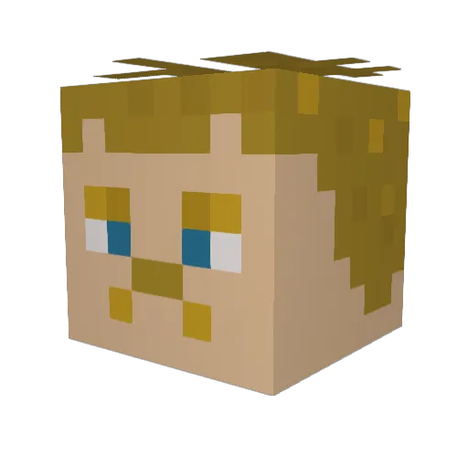 bajgen Minecraft avatar head, 3D render
