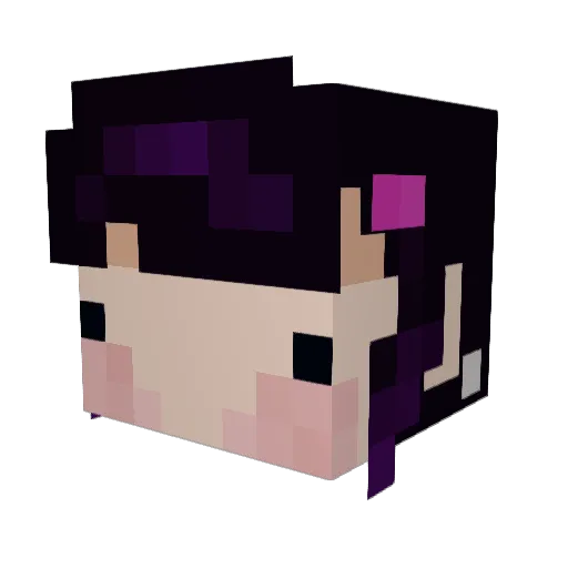 bajkarol Minecraft avatar head, 3D render