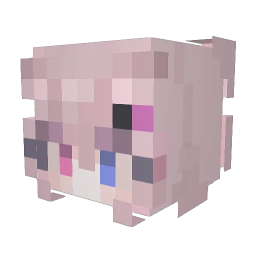 baka_sirop Minecraft avatar head, 3D render