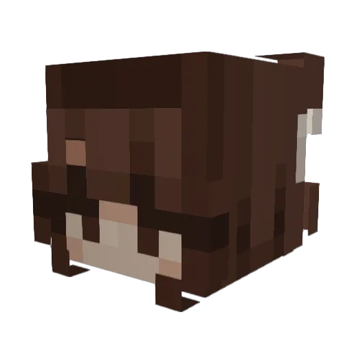 bakabex Minecraft avatar head, 3D render