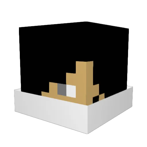 bakapocket Minecraft avatar head, 3D render