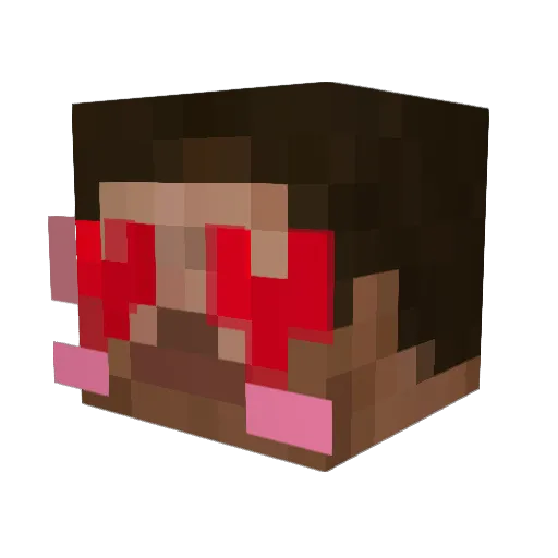 bakauwupoggers Minecraft avatar head, 3D render