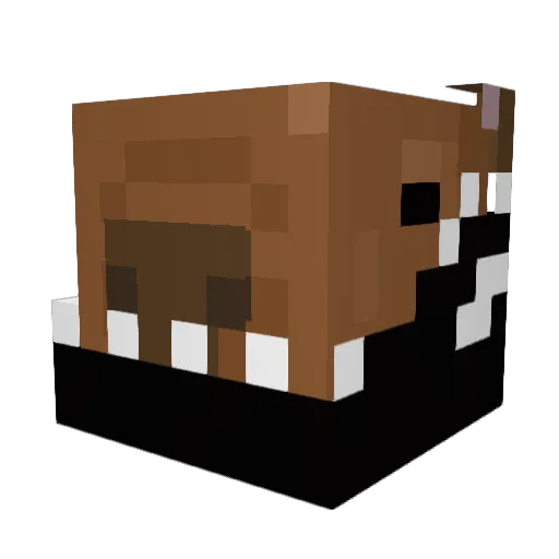 bakaxi Minecraft avatar head, 3D render