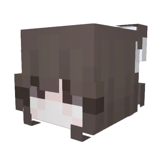 bake Minecraft avatar head, 3D render