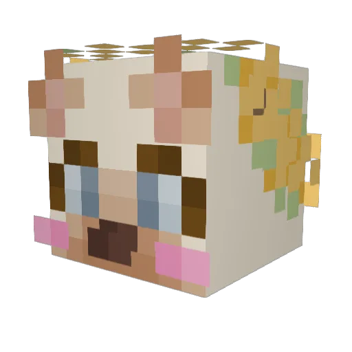 bakedbeans663 Minecraft avatar head, 3D render