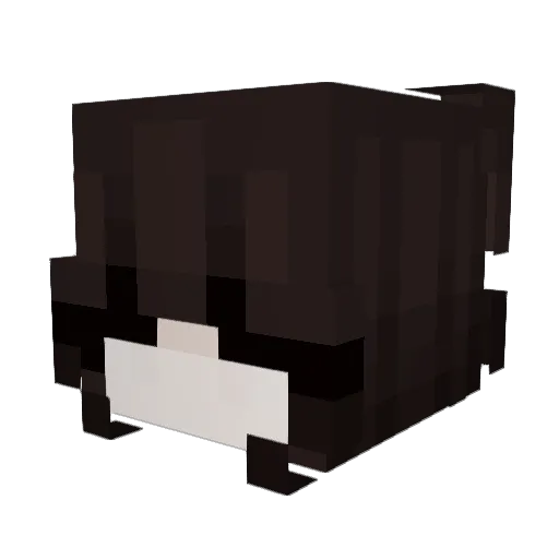 bakedconspiracy Minecraft avatar head, 3D render