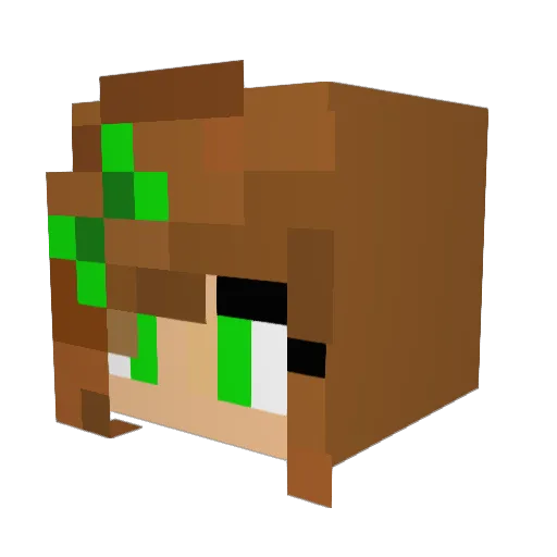 baken99 Minecraft avatar head, 3D render