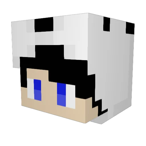 bakeralex11 Minecraft avatar head, 3D render