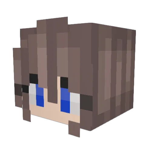 bakerbrie Minecraft avatar head, 3D render