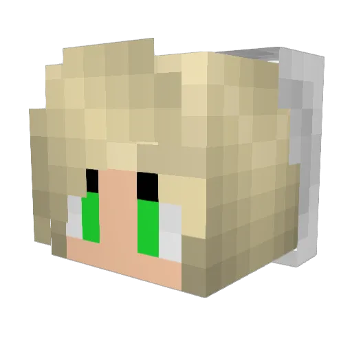 bakermom09 Minecraft avatar head, 3D render