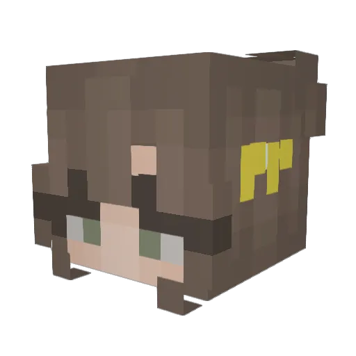 bakerplaysmc Minecraft avatar head, 3D render