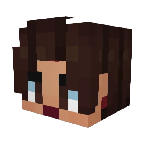 bakkz Minecraft avatar head, 3D render