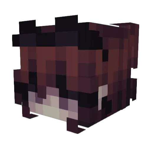 baklazan23232 Minecraft avatar head, 3D render