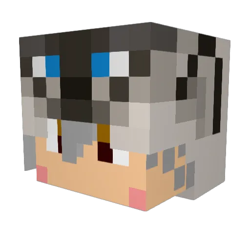 bakucha Minecraft avatar head, 3D render