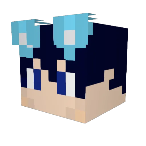 balaj2 Minecraft avatar head, 3D render