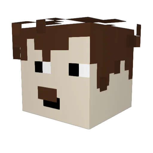 baldmartin2 Minecraft avatar head, 3D render