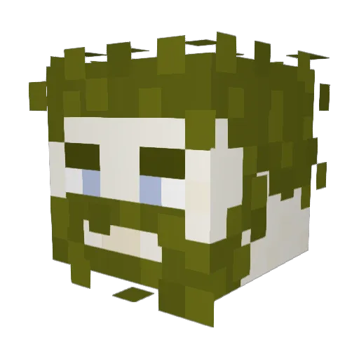 baldr04 Minecraft avatar head, 3D render